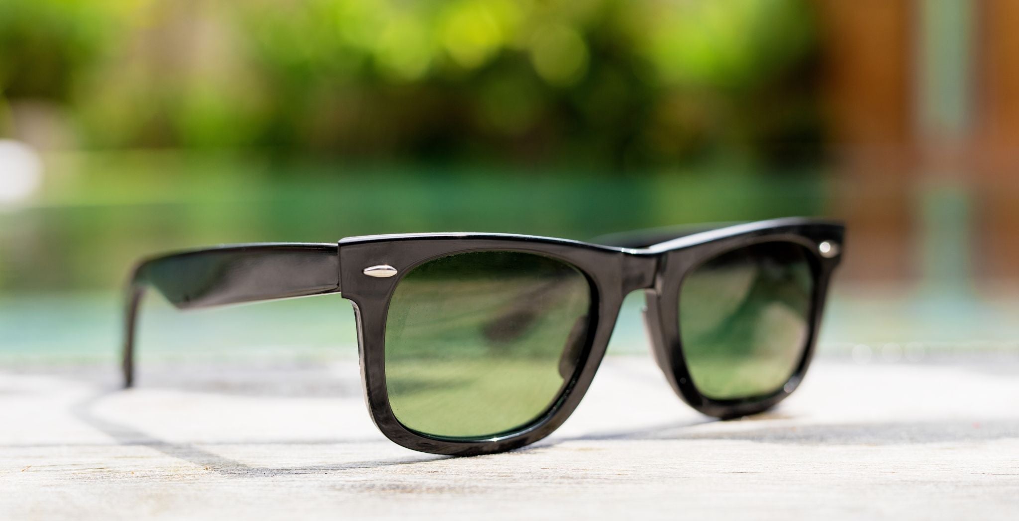 Clear Frame Sunglasses