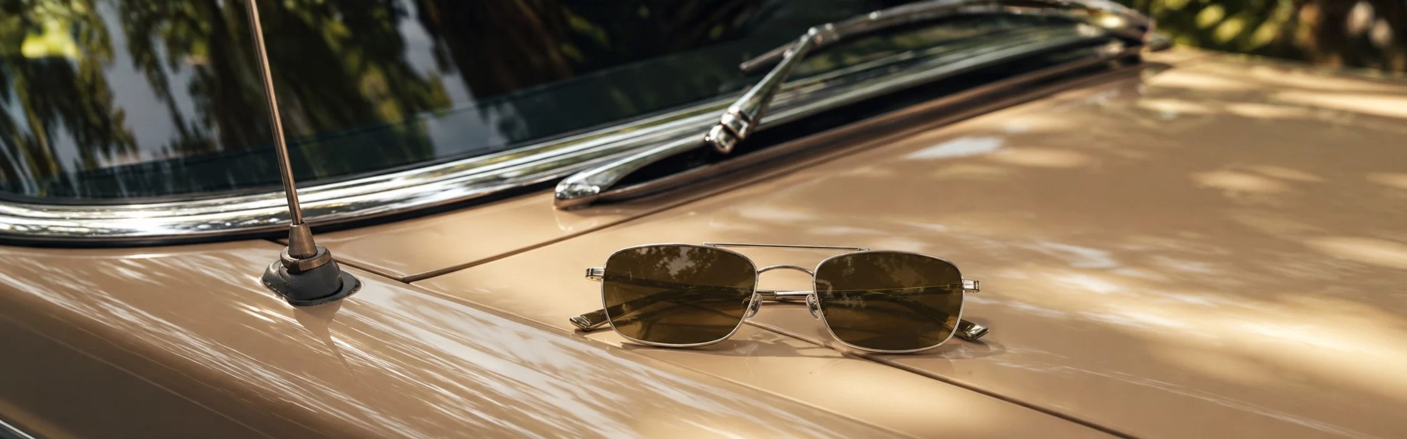 Men's Sunglasses