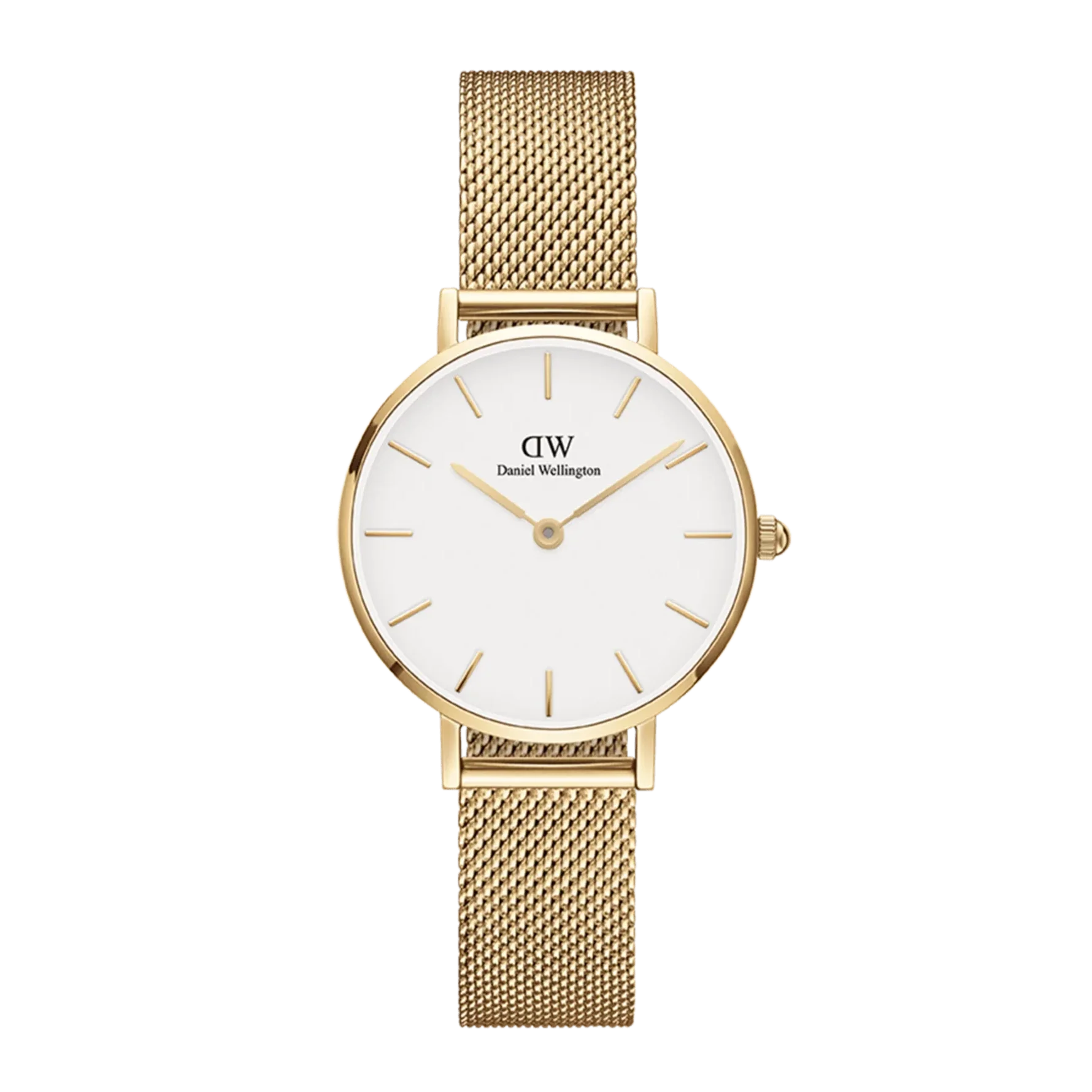 Daniel Wellington Petite Evergold Ladies Watch DW00100346-GR8 Sunglasses