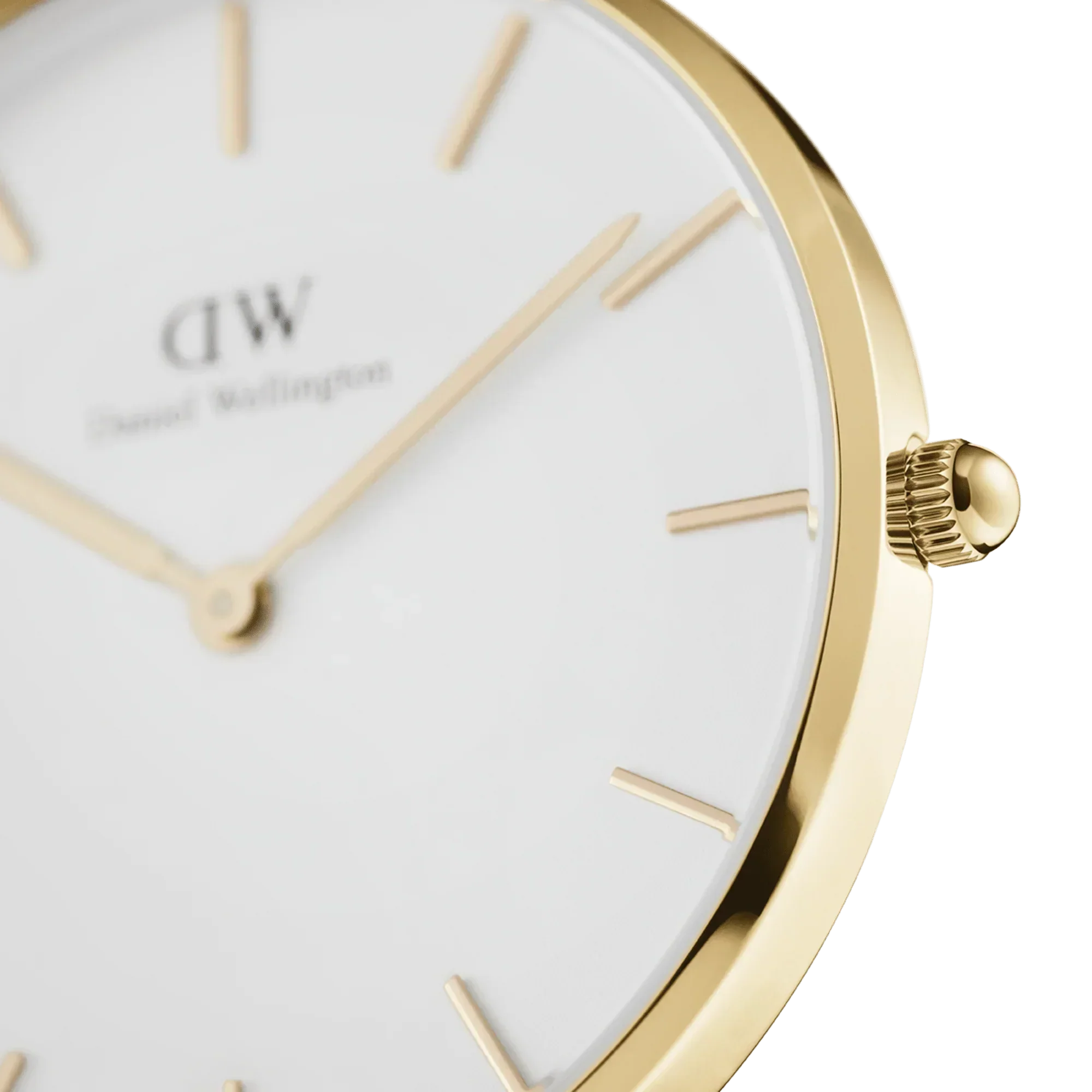 Daniel Wellington Petite Evergold Ladies Watch DW00100346-GR8 Sunglasses