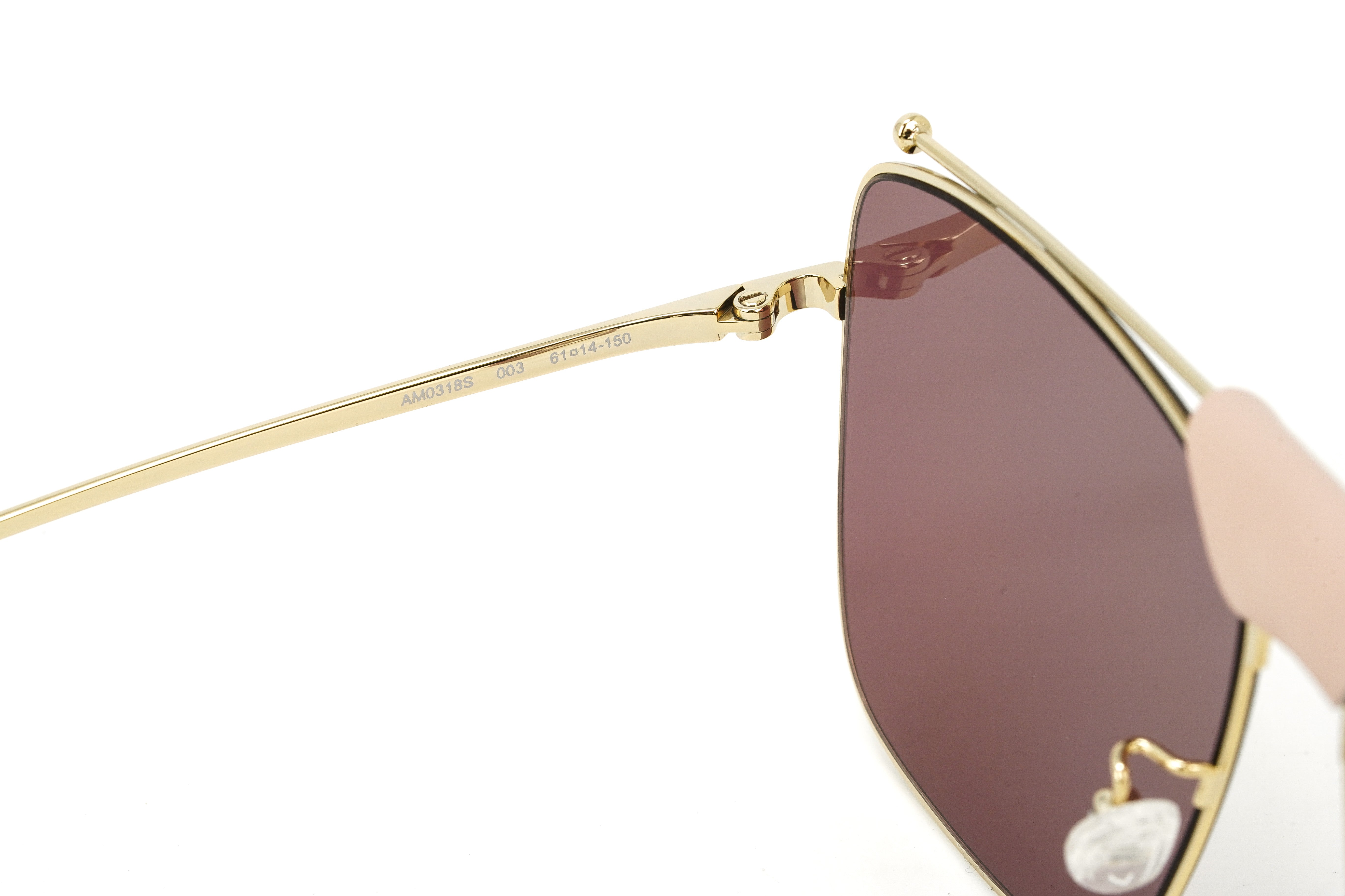 Alexander McQueen Unisex Sunglasses Browline Red AM0318S-003 61-GR8 Sunglasses