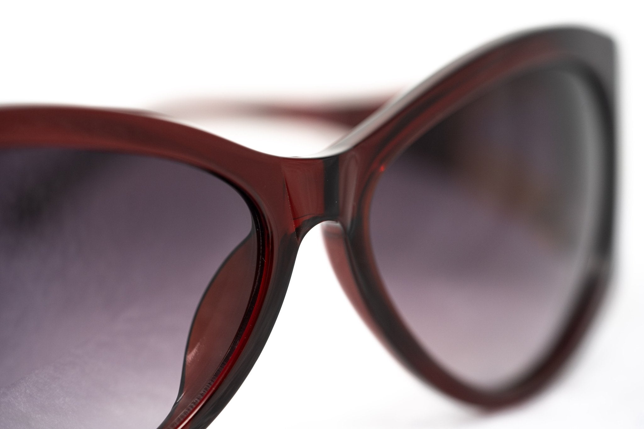 Agent Provocateur Ladies Sunglasses Oversized Burgundy and Grey AP17C3SUN-GR8 Sunglasses