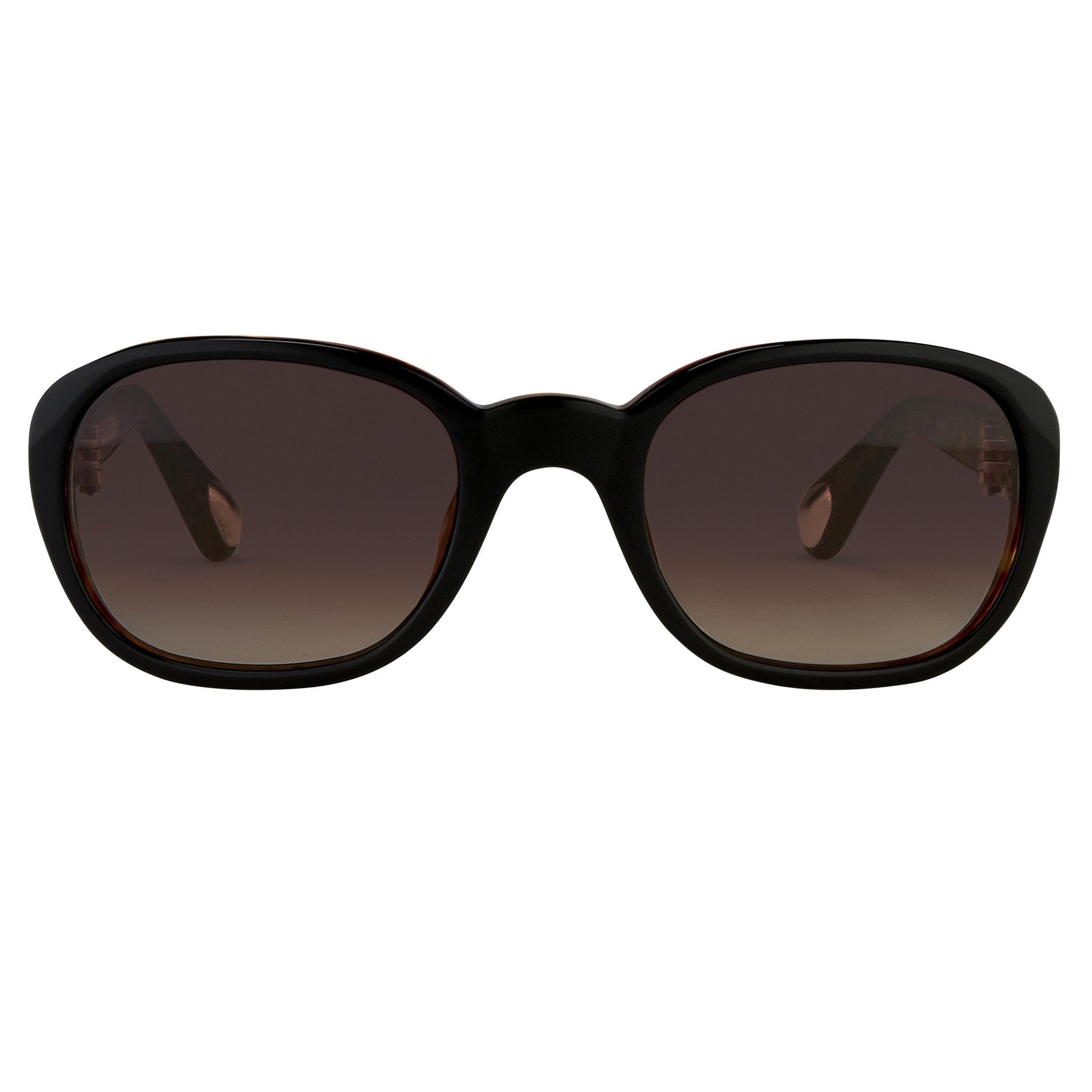 Ann Demeulemeester Ladies Sunglasses Oval Black and Brown Graduated AD8C6SUN-GR8 Sunglasses