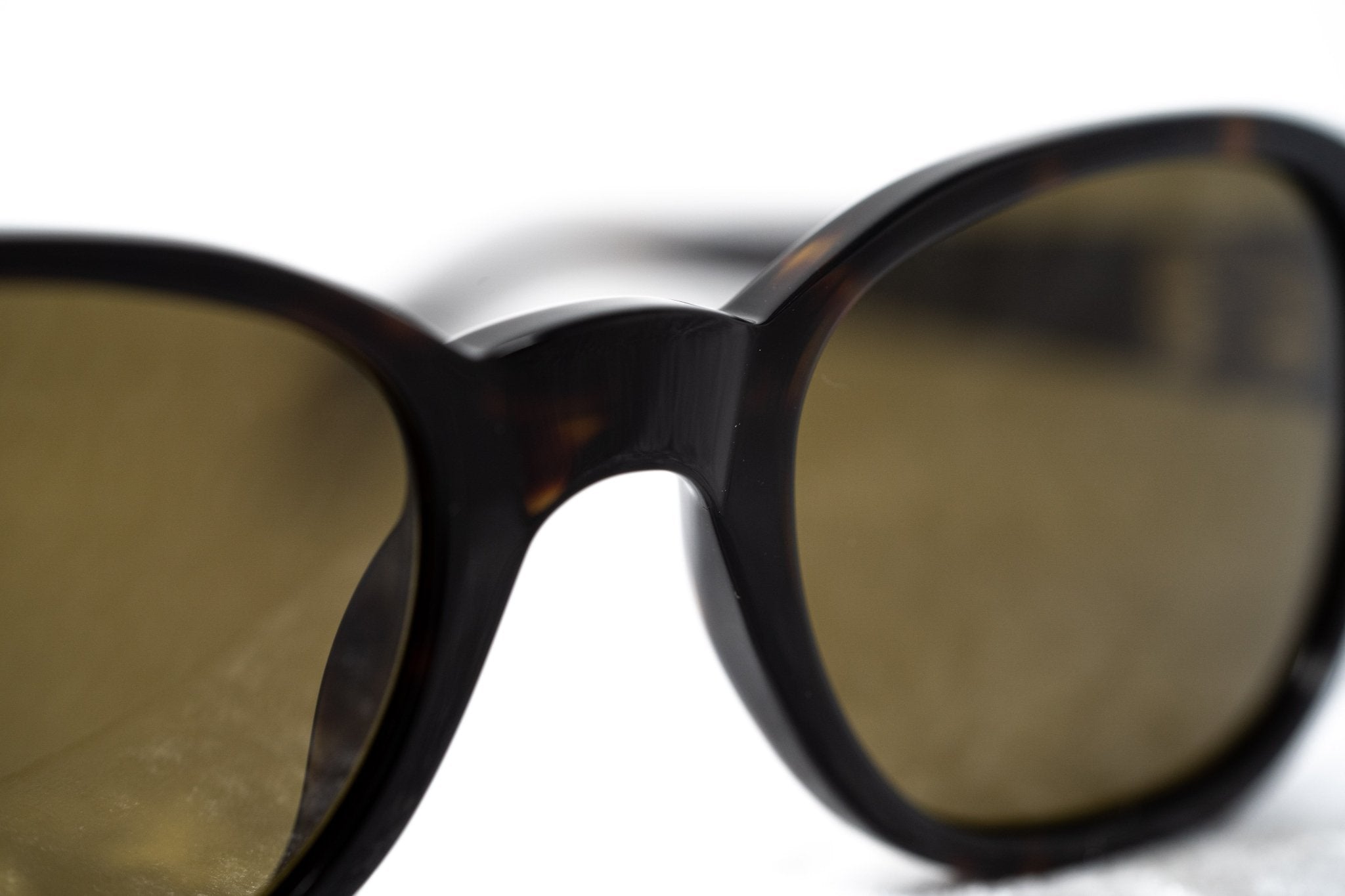 Ann Demeulemeester Sunglasses Oval Tortoise Shell and Brown-GR8 Sunglasses