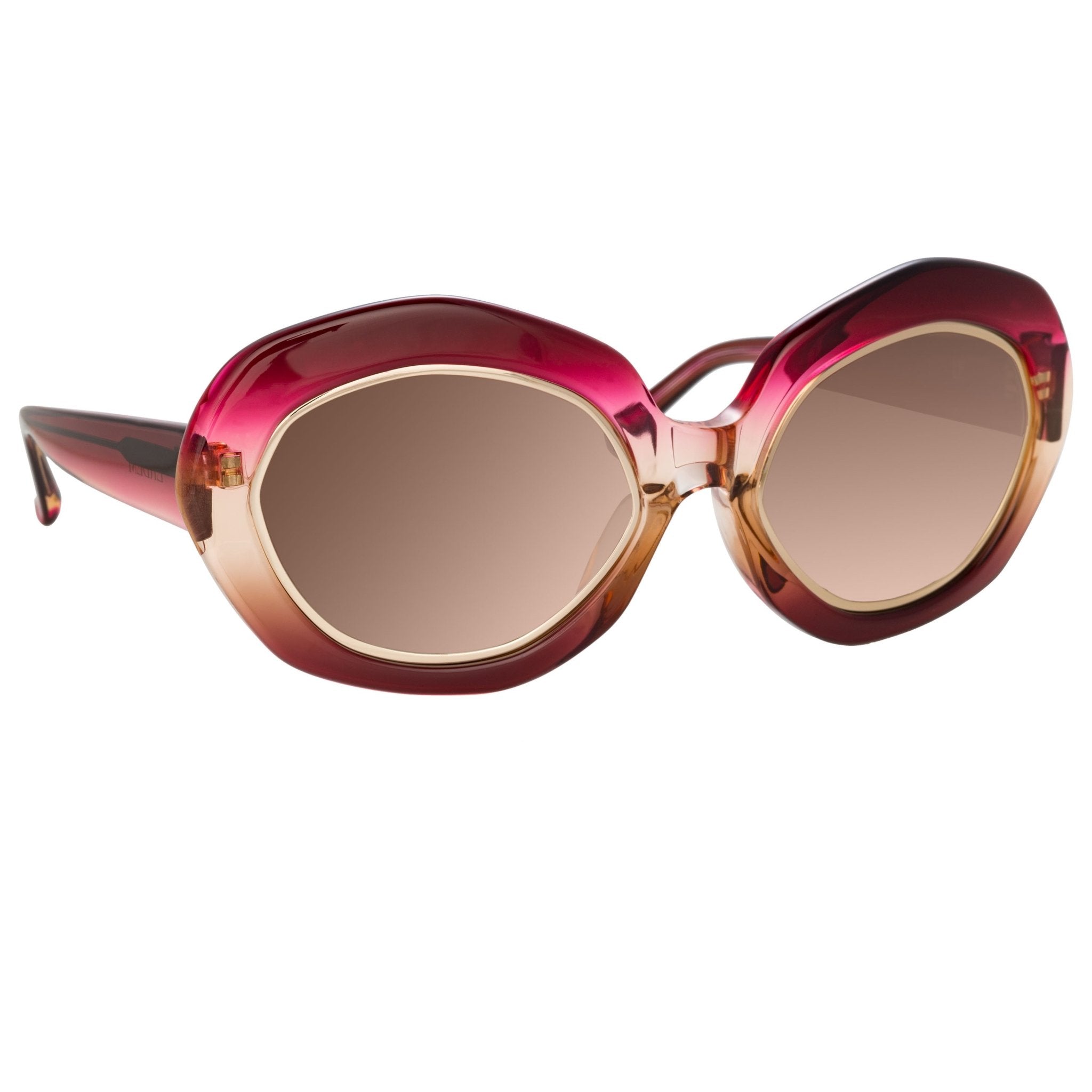Erdem Ladies Sunglasses Oversized Purple Gold and Brown EDM33C1SUN-GR8 Sunglasses