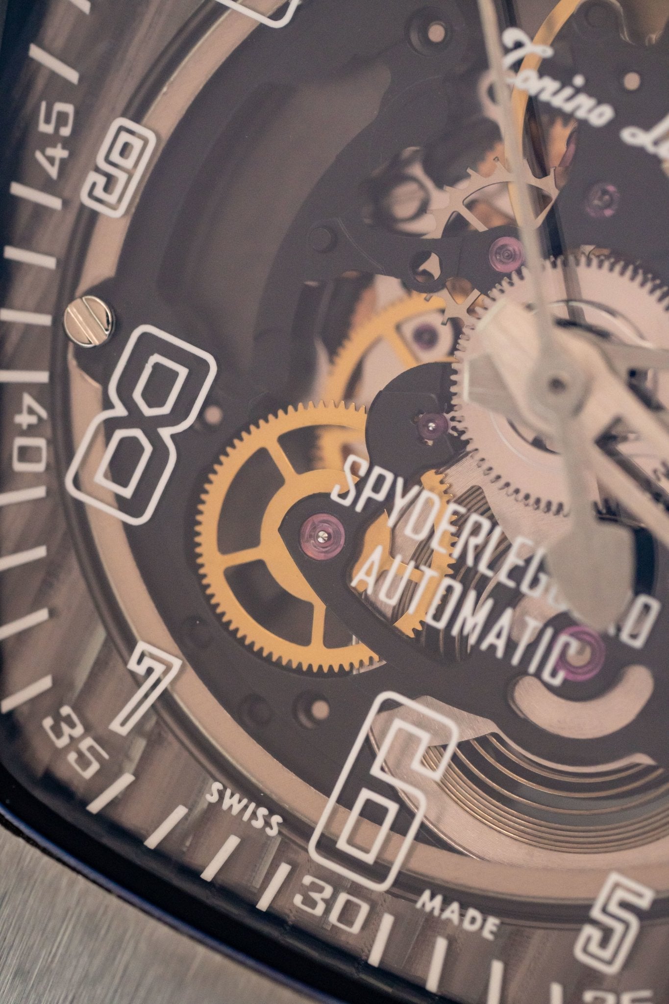 Tonino Lamborghini Spyderleggero Skeleton Watch Titanium TLF-T06-1-GR8 Sunglasses